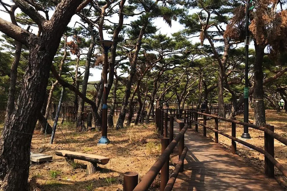 Holiday home Incheon Dukjukdo Bada Hyangi Pension 인천 덕적도바다향기펜션 South Korea